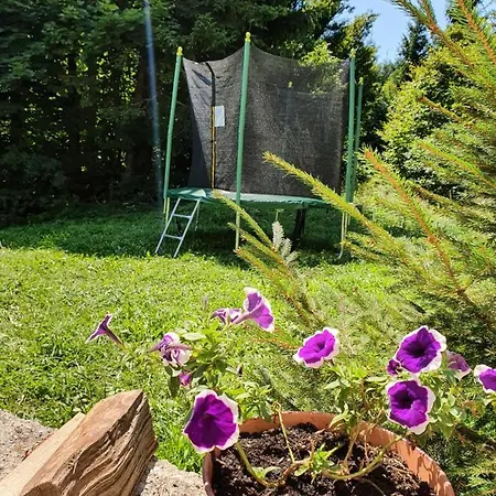 Brvnara Forest House Masha *