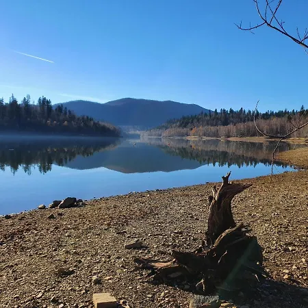 Chalet Forest House Masha *