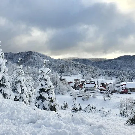 Forest House Masha Chalet