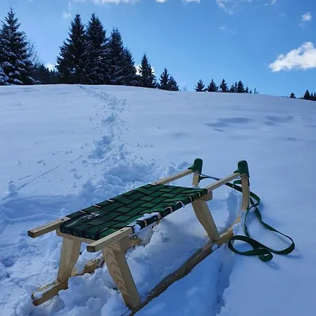 Forest House Masha Alpstuga Mrkopalj