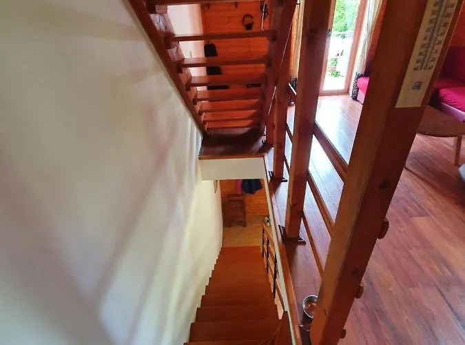 Chalet Forest House Masha Mrkopalj