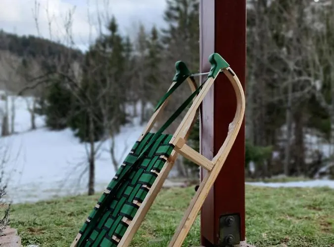 Alpehytte Forest House Masha Mrkopalj