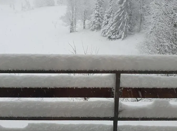 Forest House Masha Alpehytte *