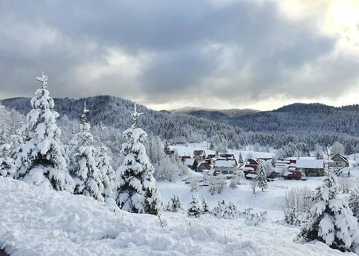 Forest House Masha Alpehytte