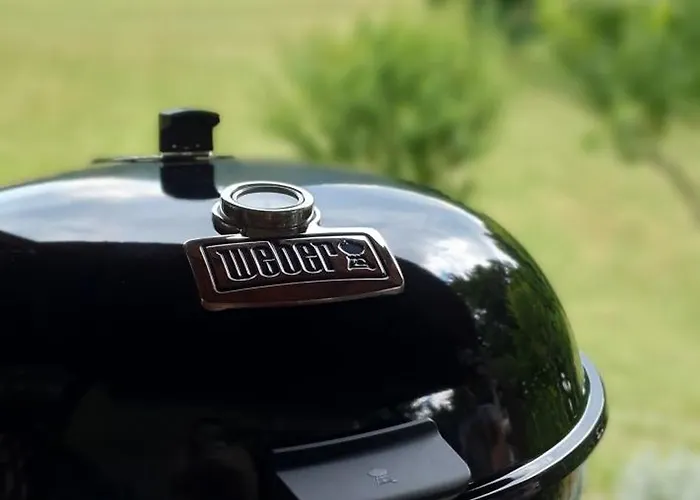 Forest House Masha *