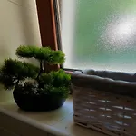 Forest House Masha 马考巴尔贾