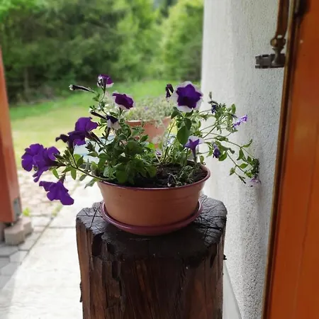 Chalet Forest House Masha *