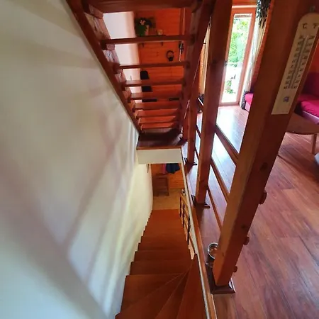 Chalet Forest House Masha Mrkopalj