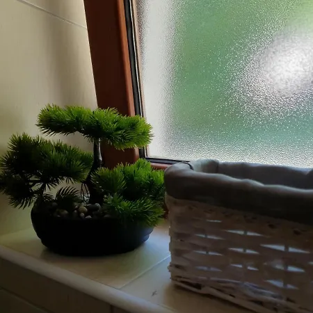 Forest House Masha 므르코팔리