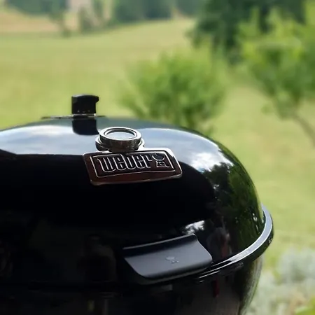 Forest House Masha *