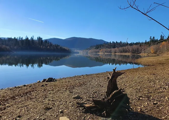 Brvnara Forest House Masha *